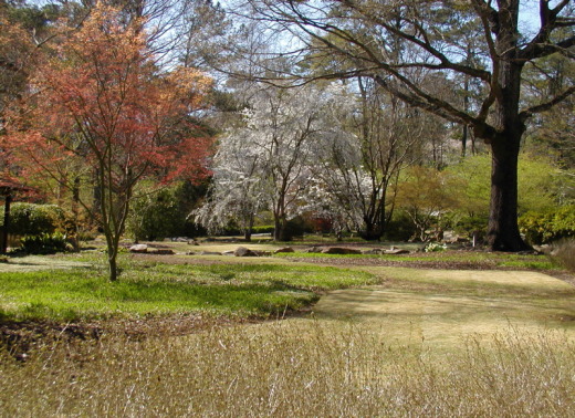 Another view of the Japanese Garden