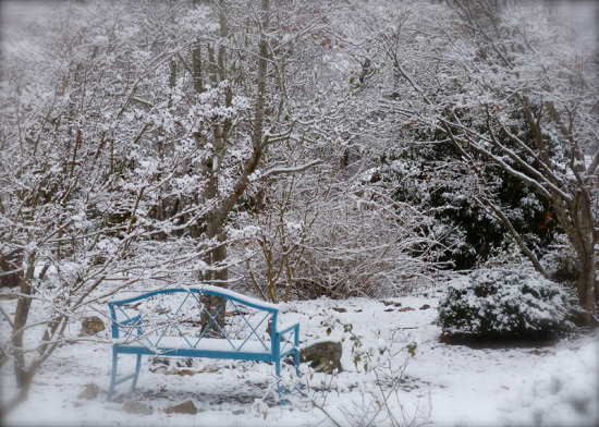 Blue bench winter 2011.jpg