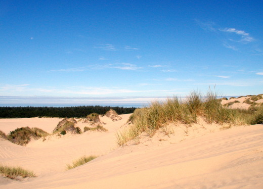 Oregon sand dunes