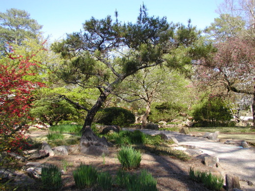 Bbg Japanese Garden Deb S Garden Blog
