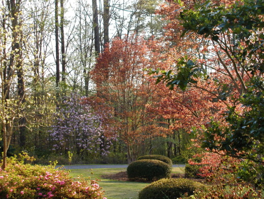 April 2010 view across front lawn