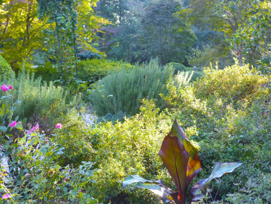 View of the front garden September 2012.jpg