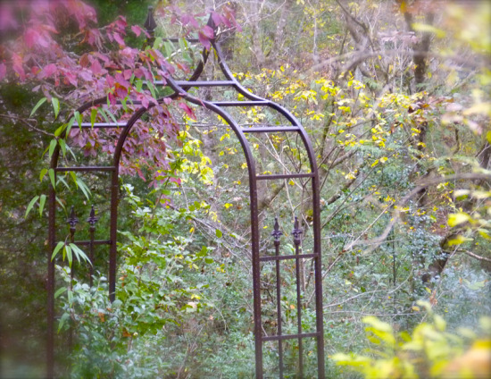 entrance arbor to arbor garden arbor.jpg