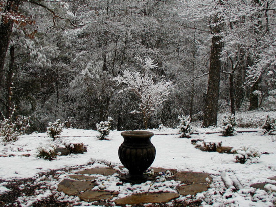 snowy winter view of arbor garden.jpg